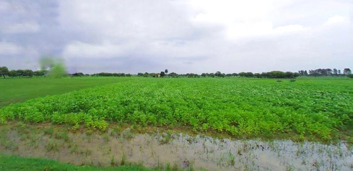 Raghunathpur, West Bengal 723133, India