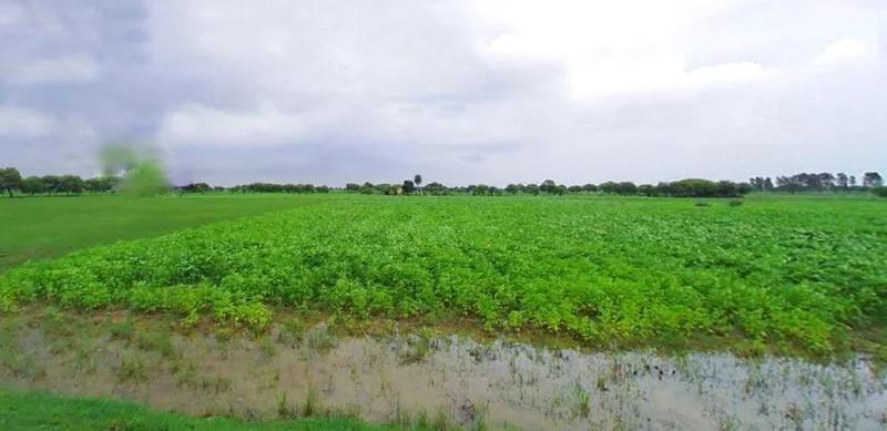 Raghunathpur, West Bengal 723133, India preview 2