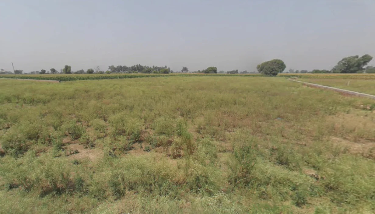 Nakodar, Punjab 144040, India preview 3
