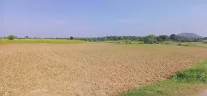 Kaushambi, Uttar Pradesh 212214, India preview 2