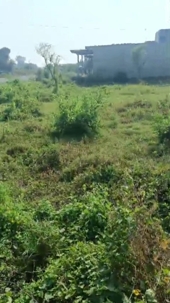 R4W9+8J7, Aligarh, Kamalpur, Uttar Pradesh 202002, India