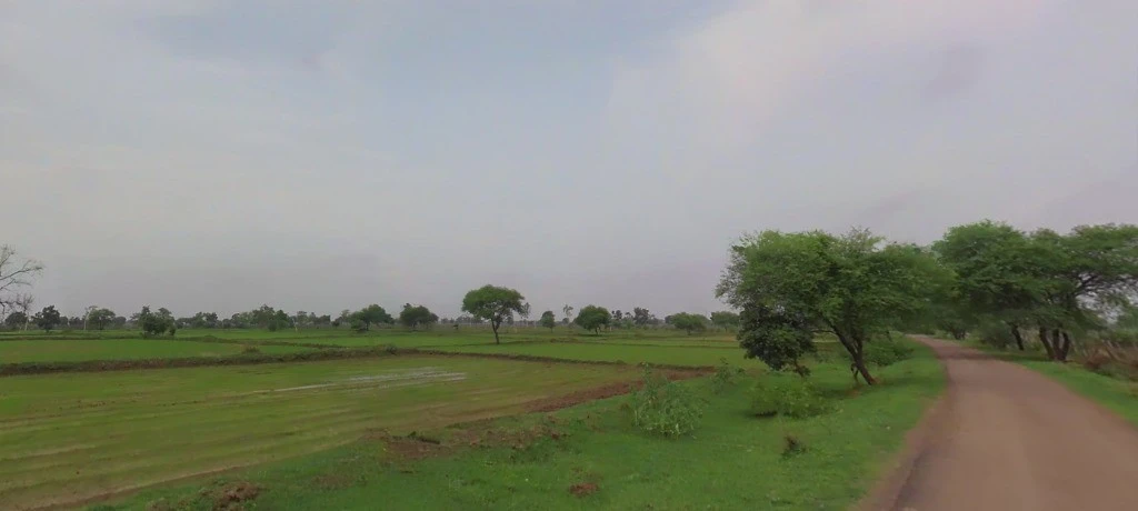 Parsada, Chhattisgarh 493445, India