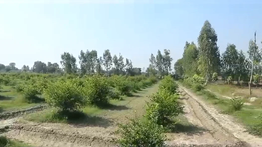 Gangapur, Uttar Pradesh 243638, India preview 3