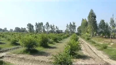 Gangapur, Uttar Pradesh 243638, India preview 3