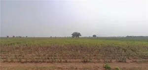 Rajpur, Gujarat 382225, India preview 2