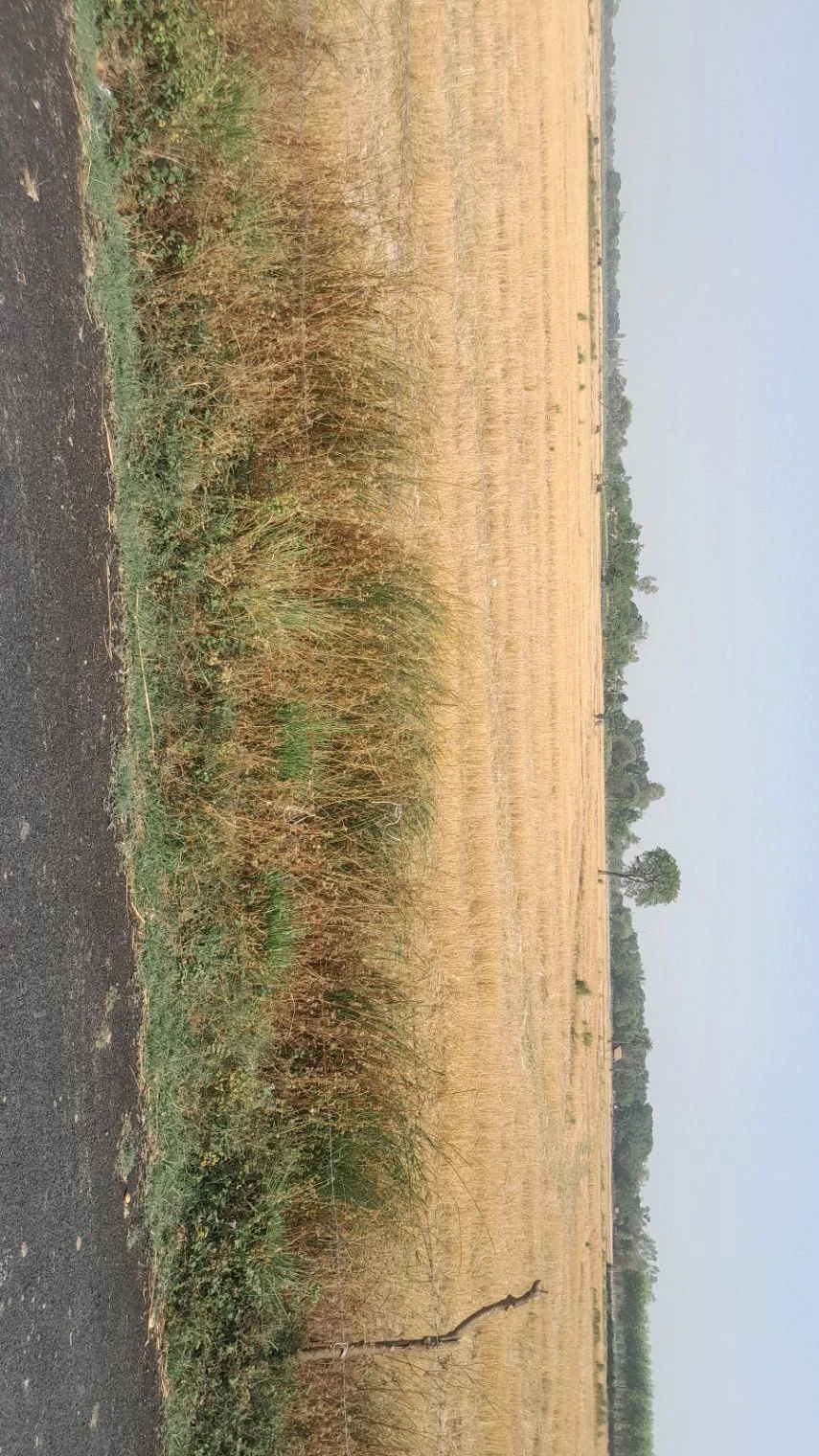 M7F6+2W Durga Pur, Uttar Pradesh, India