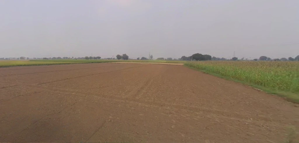 Thikri, Madhya Pradesh 451660, India