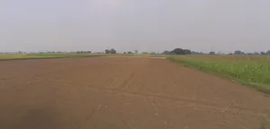 Thikri, Madhya Pradesh 451660, India preview 2