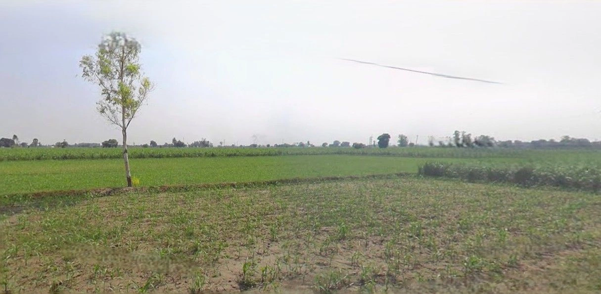 Budhana, Uttar Pradesh 251309, India