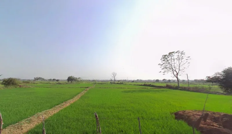 Tendukona, Chhattisgarh 493449, India preview 3