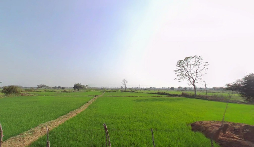 Tendukona, Chhattisgarh 493449, India