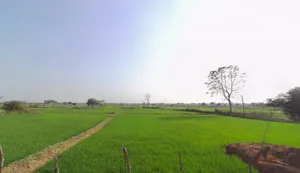 Tendukona, Chhattisgarh 493449, India preview 3