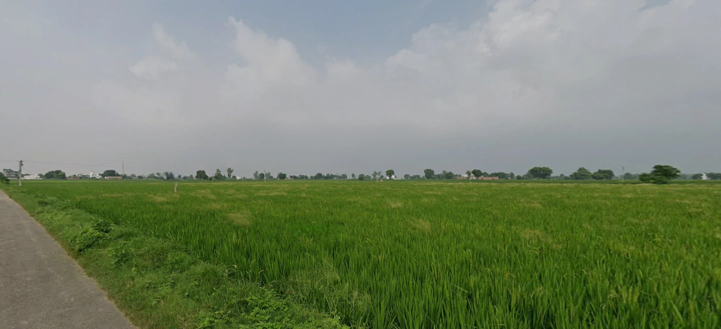 Balachaur, Punjab 144521, India
