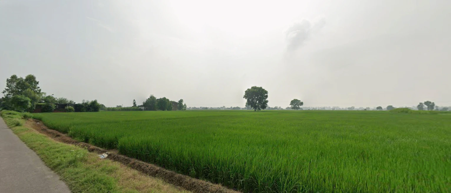 Nurpur Bedi, Punjab 140117, India