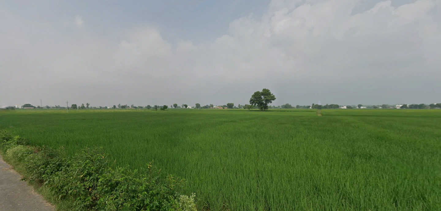 Nurpur Bedi, Punjab 140117, India
