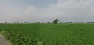 Nurpur Bedi, Punjab 140117, India preview 2