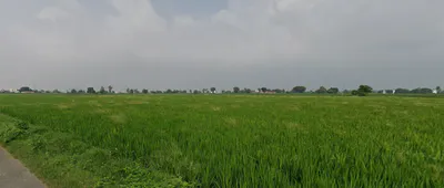 Nurpur Bedi, Punjab 140117, India preview 2