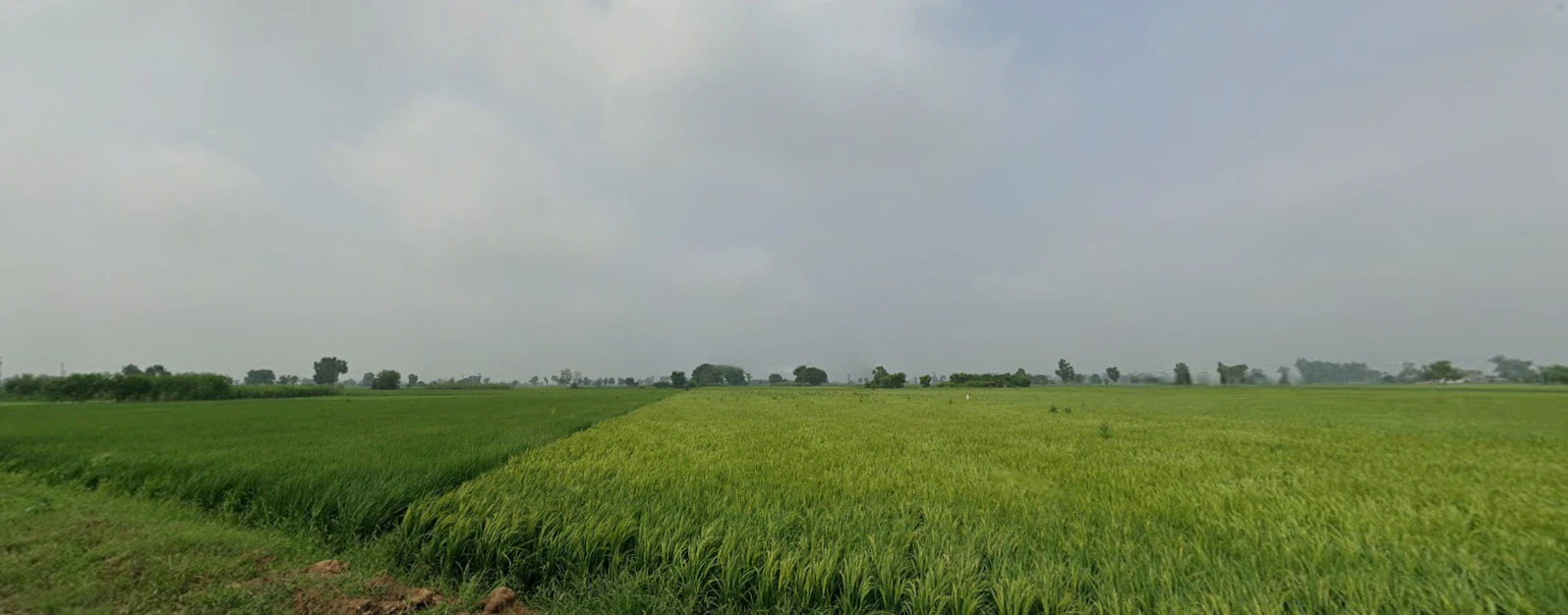 Kiratpur Sahib, Punjab 140115, India
