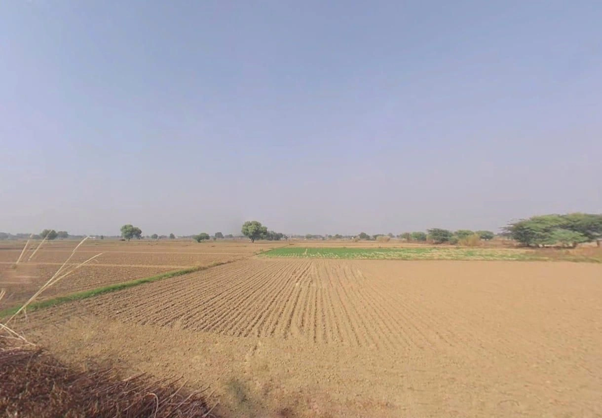 WJG3+V8W, Sihali Kalan, Rajasthan 301401, India preview 2