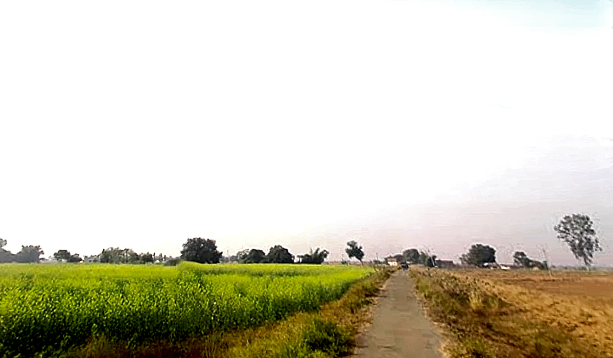 Matihani, Uttar Pradesh, India
