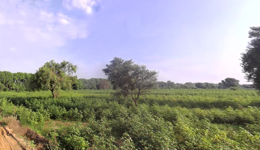 Siwani, Haryana 127046, India