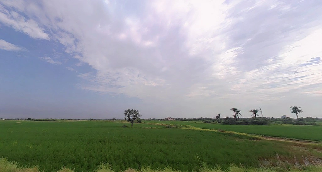 Uleta, Haryana 122103, India