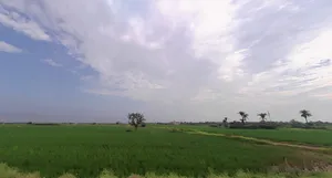 Uleta, Haryana 122103, India preview 2