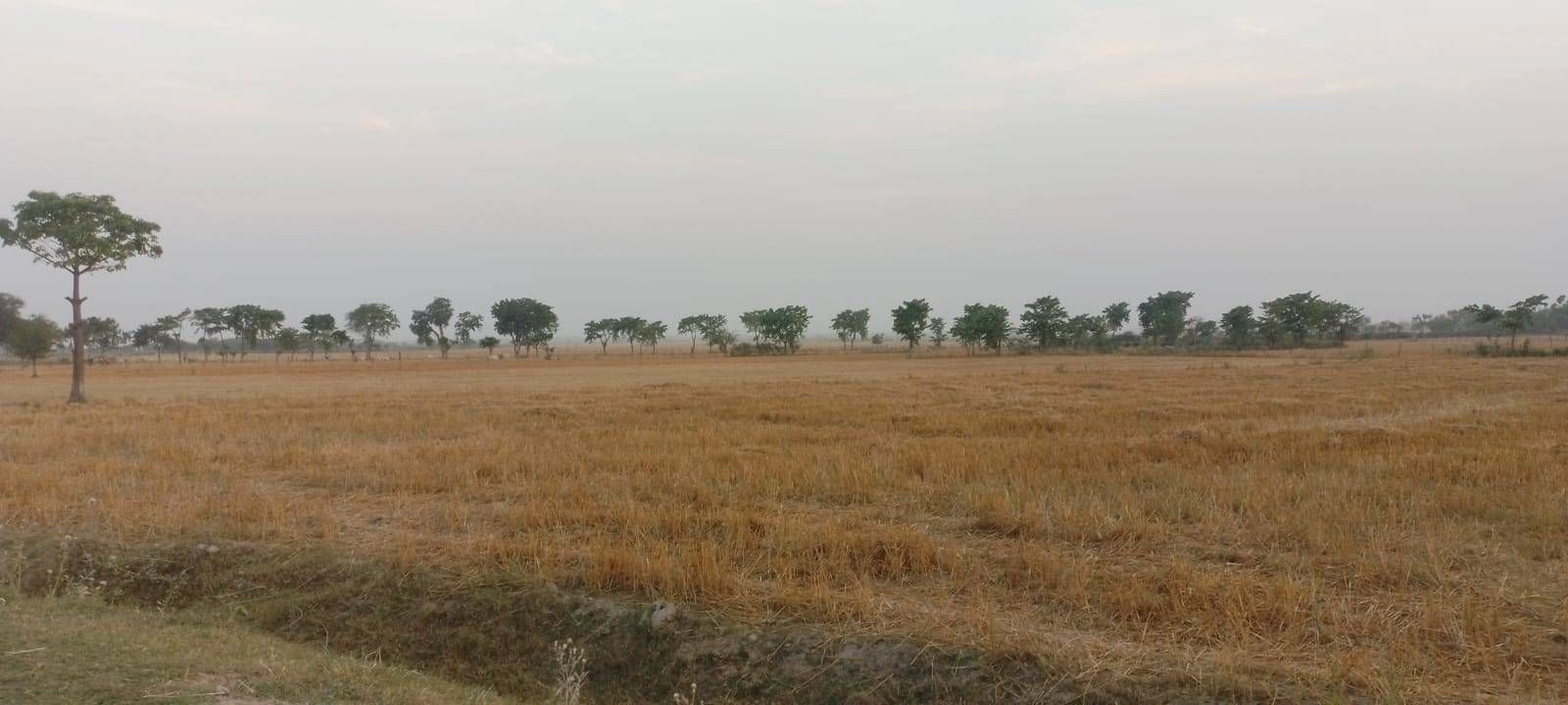 Maholi, Uttar Pradesh 261141, India