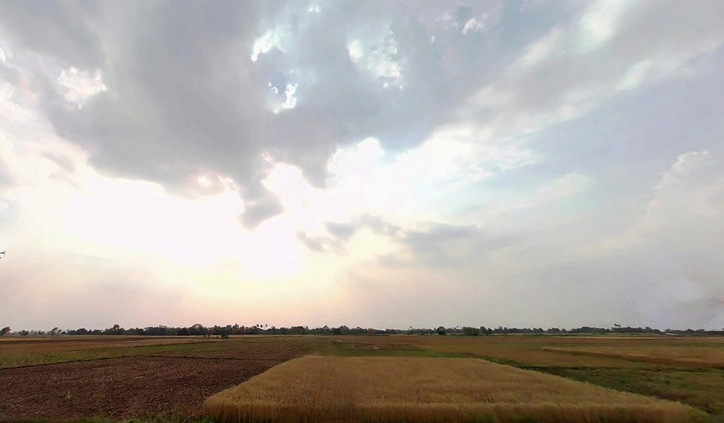 Pothahi, Dharahra, Bihar 804453, India