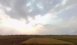 Pothahi, Dharahra, Bihar 804453, India preview 2