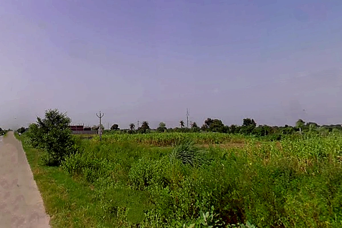 Naugawan Sadat, Uttar Pradesh 244251, India