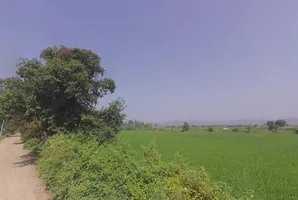 Ranjitpur, Haryana, India preview 3