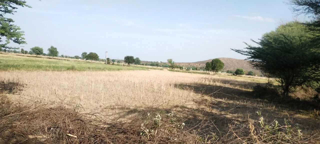 Ghat, Rajasthan, India preview 2