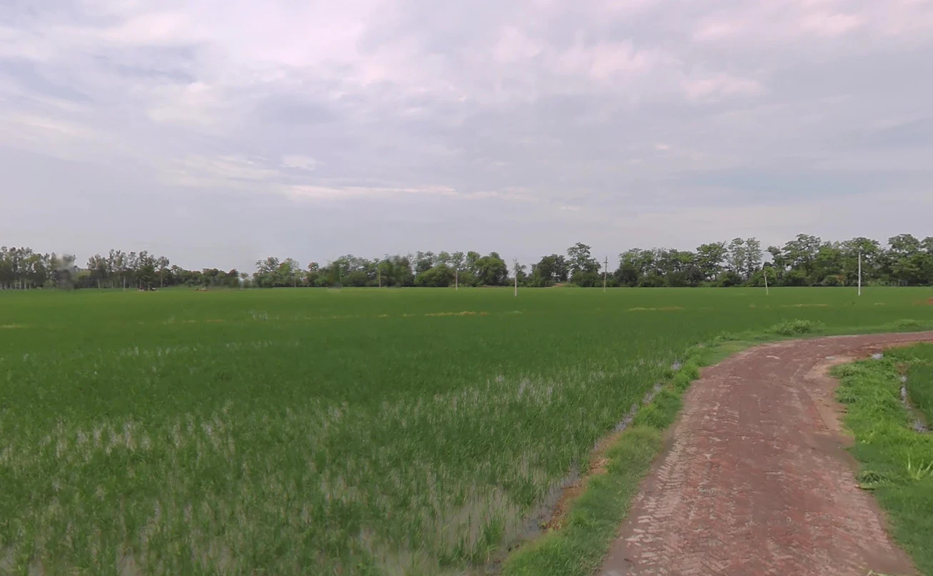 Bargodam, Kalka, Haryana 133302, India