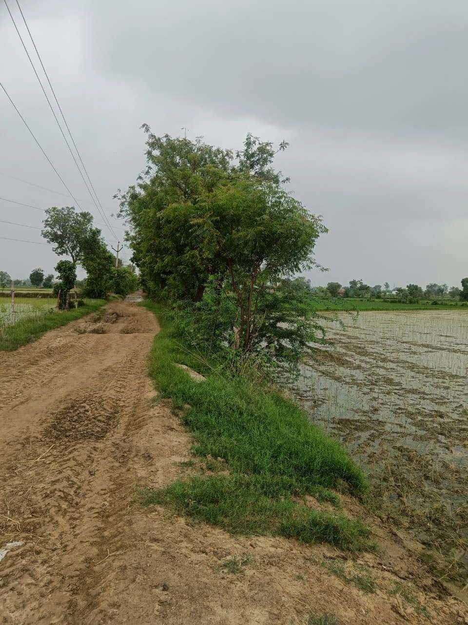 Bukharari, Mathura, Uttar Pradesh, India