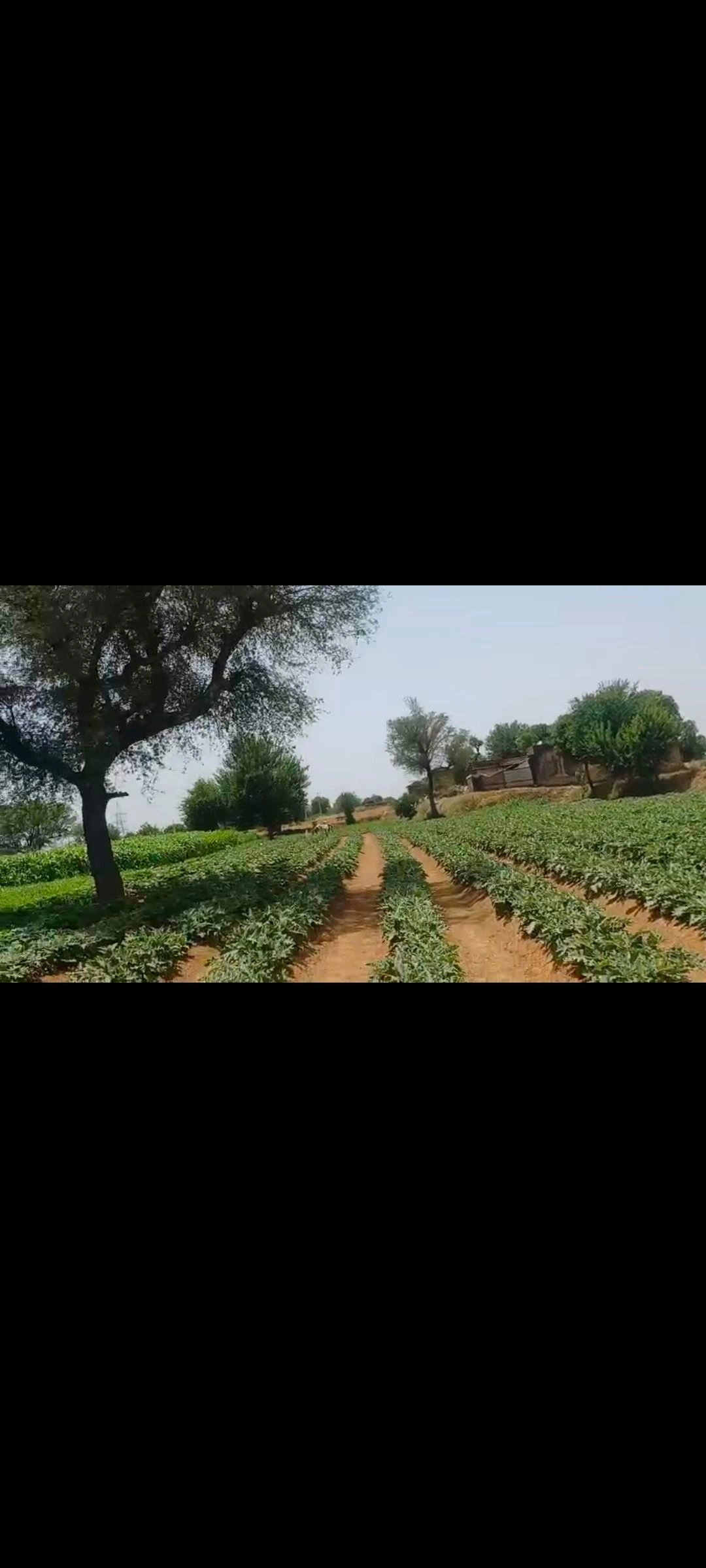 Jawanpura, Viratnagar, Kotputli-Behror, Rajasthan, India