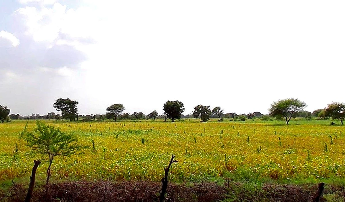 Obaidullaganj, Madhya Pradesh 464993, India