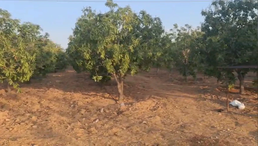 4GQ9+VX Kogira, Andhra Pradesh, India