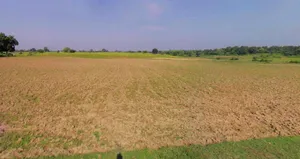 Sitapur, Uttar Pradesh, India preview 2