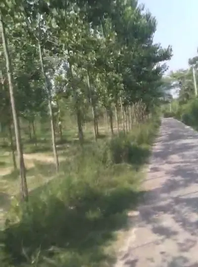 Nurpur Bedi, Punjab 140117, India preview 2