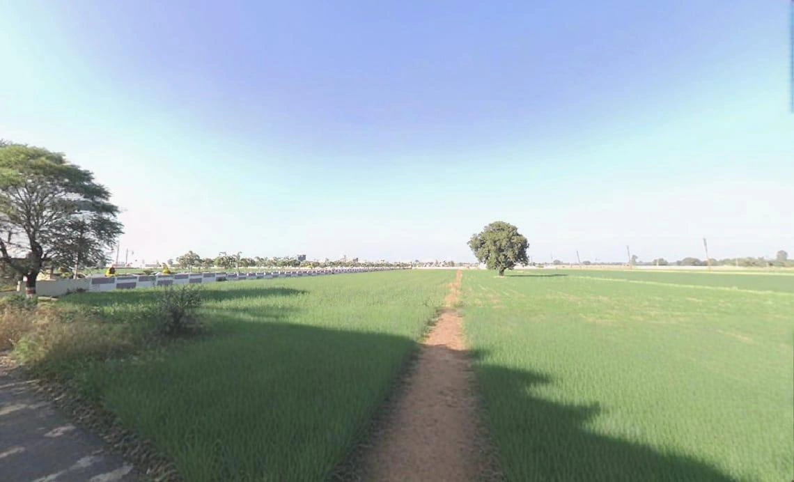 269, Paliya Rd, Paliya Haidar, Madhya Pradesh 453111, India
