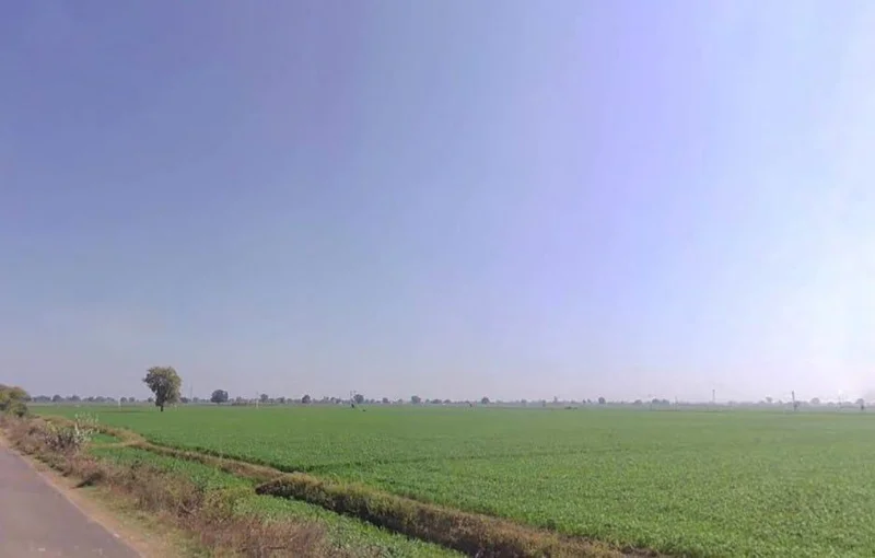 Bijolia, Rajasthan 311602, India preview 2