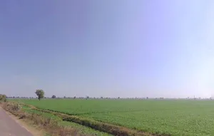 Bijolia, Rajasthan 311602, India preview 2