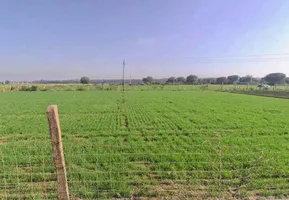 Kota, Rajasthan, India preview 3