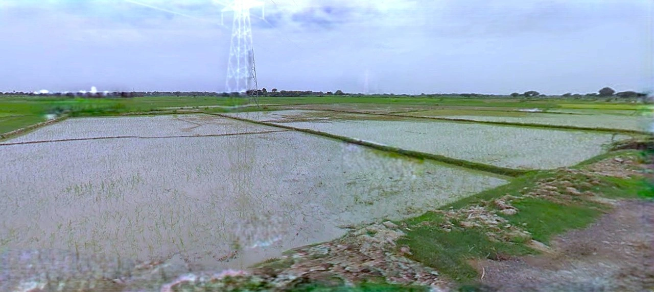 Ujjain, Madhya Pradesh, India