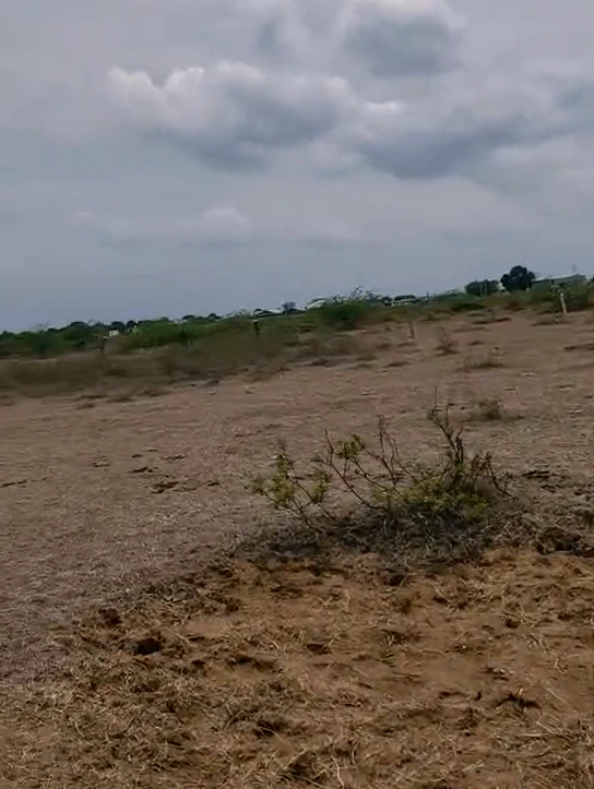JHGX+GQ Aliabad, Medchal–Malkajgiri, Telangana, India