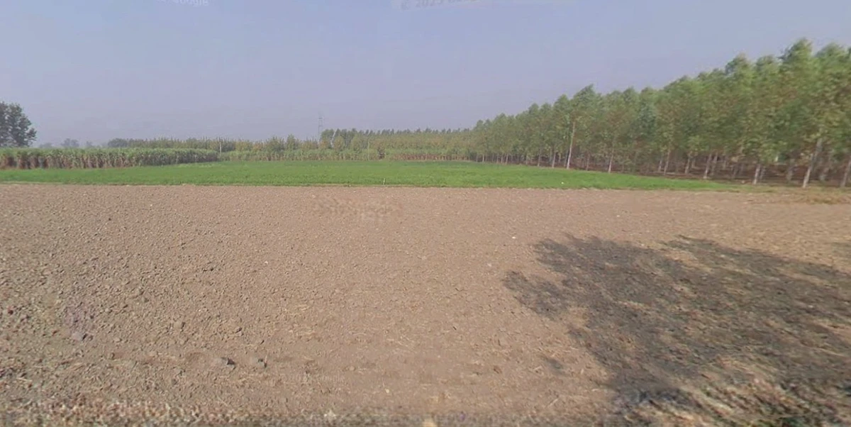 Jhajjar, Haryana 124103, India