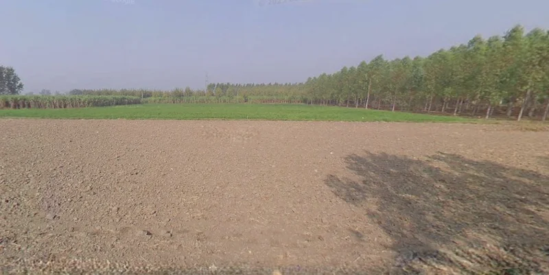 Jhajjar, Haryana 124103, India preview 2