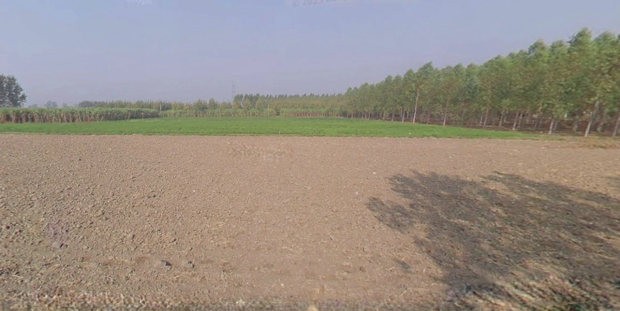 Jhajjar, Haryana 124103, India