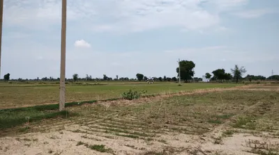 Bassi Naaga, Jaipur, NH-8, Ajmer Road, Jobner, Jobner, Rajasthan 303329, India preview 3